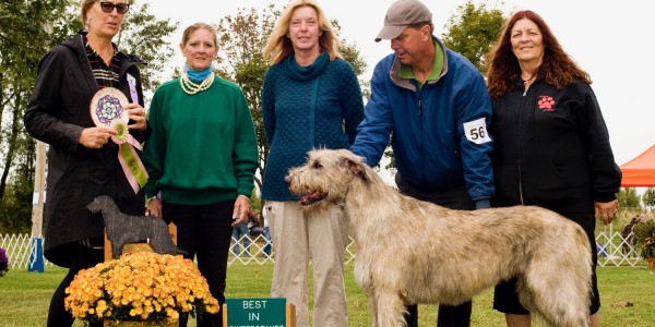 39th Annual Specialty Show, Rally Trial & LGRA Race Meet Oct 5-7 2019  Irish Wolfhound USA