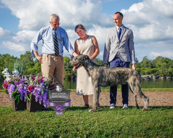 "47th Annual National and the Ontario Regional Specialties "  published  in Irish Wolfhound World Magazine