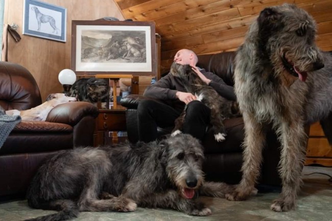 Castlekeep Irish Wolfhounds  Kennel Canada