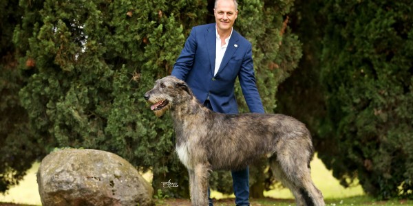 Charles dei Mangialupi wins "Club Show Champion" little in hound Specialty in Italy