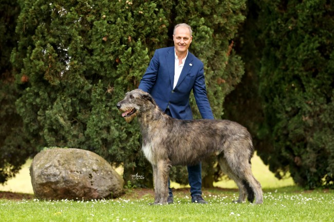 Charles dei Mangialupi wins "Club Show Champion" little in hound Specialty in Italy