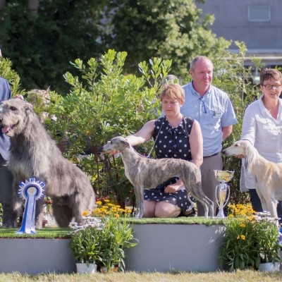 CHATEAUBRIANT NATIONAL DOG SHOW June, 30 2019  Des Coeurs de Lune results