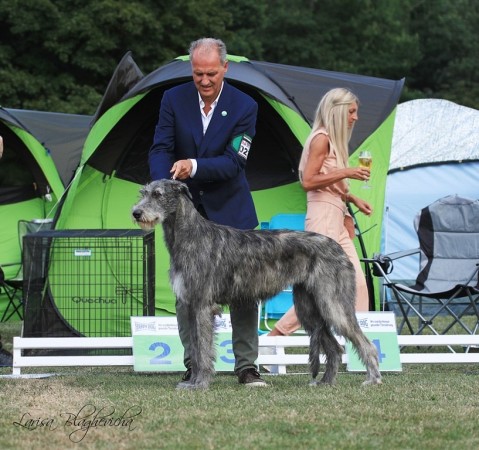 Donaueschingen Festival Sighthound 2019  results
