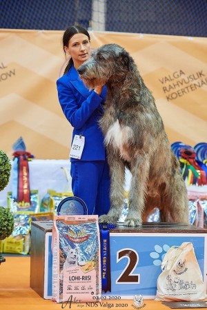 Dwarfs' Valley  Pascal  BEST IN SHOW at the Latvian Sighthound Specialty