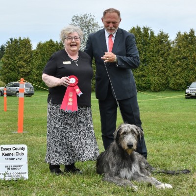 Essex County Dog Show Three Little Birds' Grooving ToThe Music  aka Gypsy got Group 2 and Best Puppy in Group