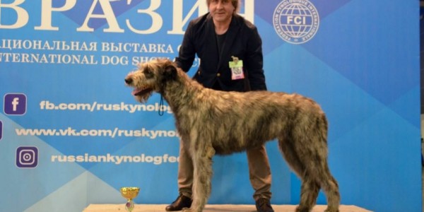 Eurasia  Dog  Show 2018 Dwarfs' Valley Perkons