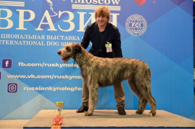 Eurasia  Dog  Show 2018 Dwarfs' Valley Perkons