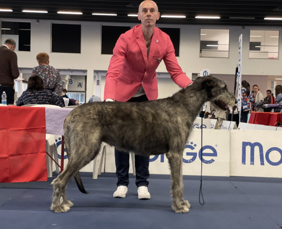 First experience in the ring for our Evil and Elvira at International Dog Show Ferrara
