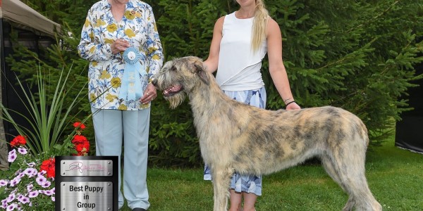 Grey Bruce Kennel Club Laislinn's Lucrezia  aka Lucy,    got  Best Puppy In Group