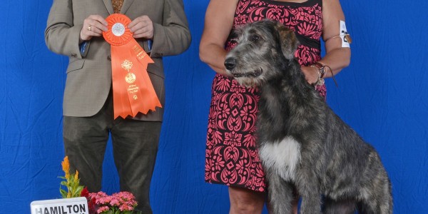 Hamiltion Dog Show Friday  Canada Three Little Birds Grooving To The Music got Best puppy in group  2 days