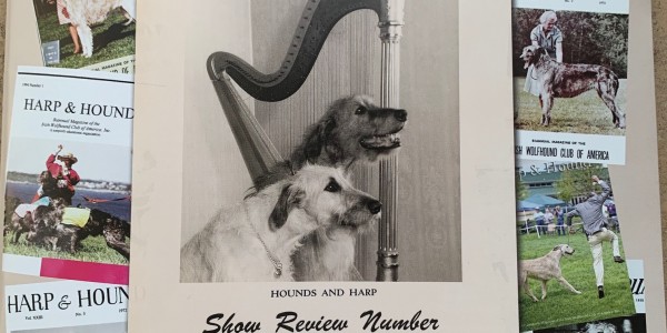Harp & Hound - Official Magazine IWCA - Surviving COVID-19 by Alex Riva
