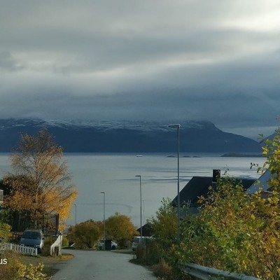 Harstad nord  Norway Dwars Valley Pelton  got BOB