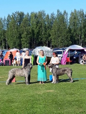 Hyvinkää all breeds Dog Show Finland  Dwars Valley Philip got  EXC1 CQ BM1 CAC BOS