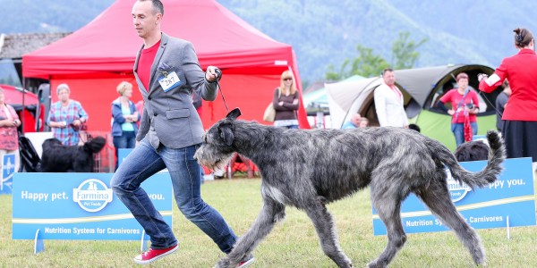 International Dog Show Bled Will Scarlet dei Mangialupi  “Karawanken Winner”