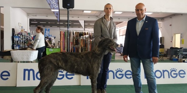 International Dog Show Ferrara Italy  May, 11  Bianca di DonnaFrancesca got BEST JUNIOR