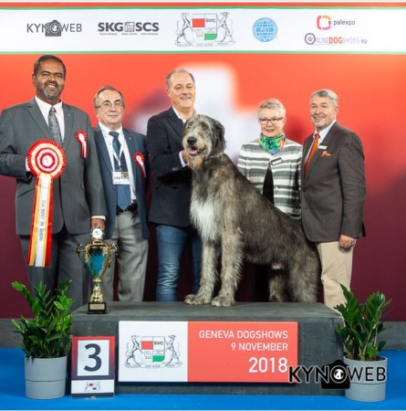 International Dog Show Geneva 2018  - I  Charles dei Mangialupi BEST IN SHOW 3rd
