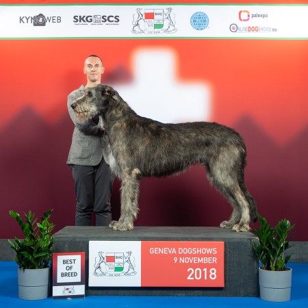 International Dog Show Geneva 2018  - I  Charles dei Mangialupi BEST IN SHOW 3rd