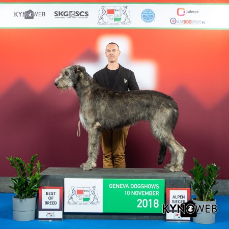 International Dog Show Geneva 2018  - II  Charles dei MAngialupi BOG 1st