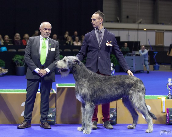 International Dog Show  Genève (CH) Tommy dei Mangialupi  Best in Group