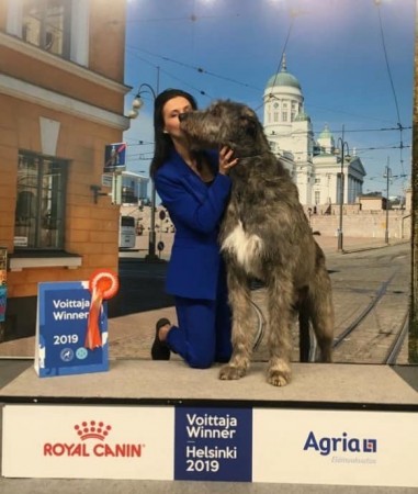 International Dog Show  Helsinki Dwarfs Valley Pascal  results