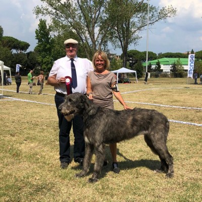 International Dog Show Prato Bianca di DonnaFrancesca, first time in adult class, got   CAC CACIB BOB from intermediate class