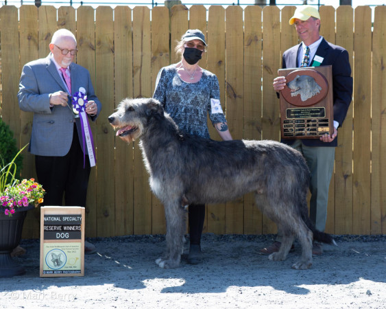 Irish Wolfhound Club of America 92nd National Specialty May 10-12, 2022