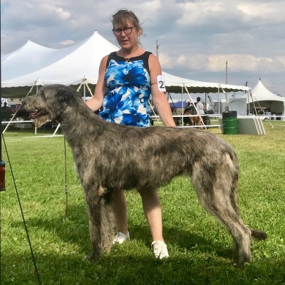 Kawartha Dog Show Ontario Canada Castlekeep’s Scarlet Magnolia at 18 m.o.  finished her Championship