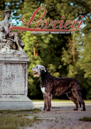 "Levrieri" the official Magazine of the Italian Sighthound Club - Spring Summer 2019 - Cover Tommy dei Mangialupi