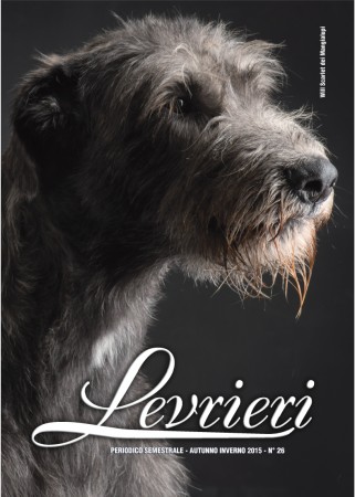 "Levrieri" the official Magazine of the Italian Sighthound Club - Winter 2015 - Cover Will Scarlet dei Mangialupi