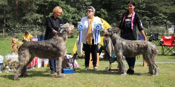 Lithuania  Dog Show  Dwarfs Valley   Paloma won 1st ex, CAC, BOB Dwarfs Valley  Percival  won 1st ex, CAC, BOS