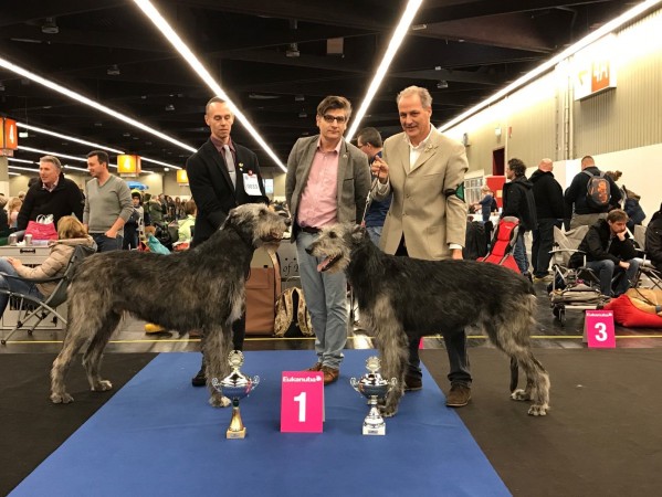 Nürnberg CAC show Will Scarlet is now German VDH champion  Tommy German VDH and DWZRV champion