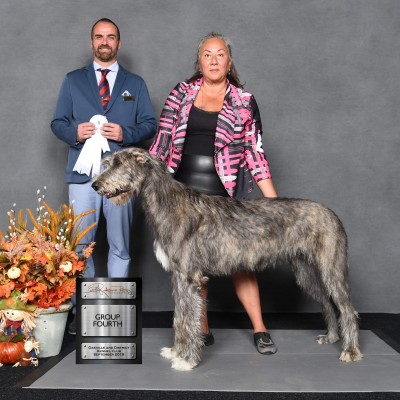 Oakville and District Kennel Club Three Little Birds' Grooving ToThe Music got best puppy in group and group 4th