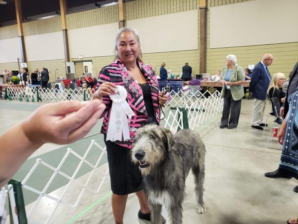 Oakville and District Kennel Club Three Little Birds' Grooving ToThe Music got best puppy in group and group 4th