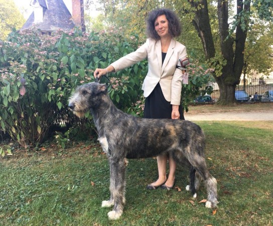 Pompadour France  Sighthound Specialty 2018 - Of Muma results