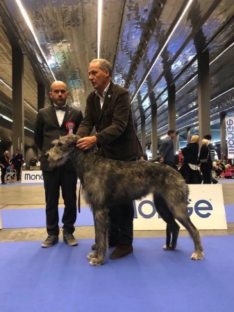 Savona & Genova Dog Show 2019 - Urania dei Mangialupi got BOB both days