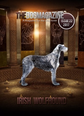 The Dog Magazine UK - ISSUE 22 2017 Irish Wolfhound - Cover Will Scarlet dei Mangialupi
