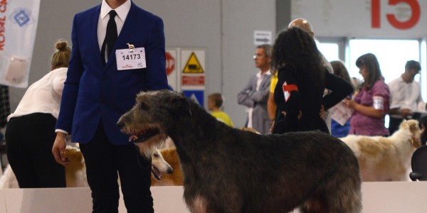 World Dog Show Milan 2015