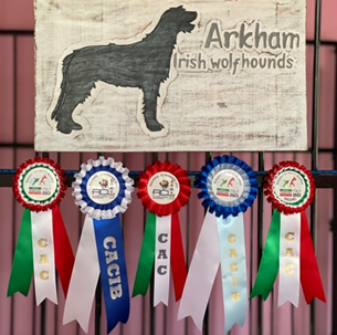 Irish Wolfhound breeders