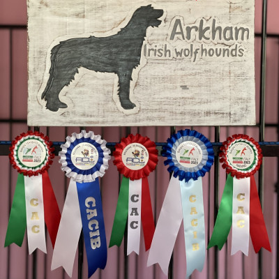 Dog Show Results