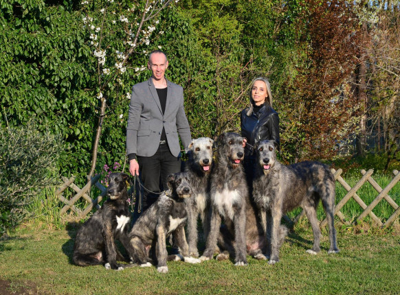 Arkham wolfhounds - shooting by Marco Leonardi