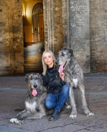 Arkham wolfhounds - shooting by Marco Leonardi