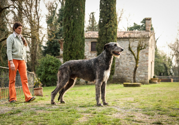 Dioniso Della Bassa Pavese
