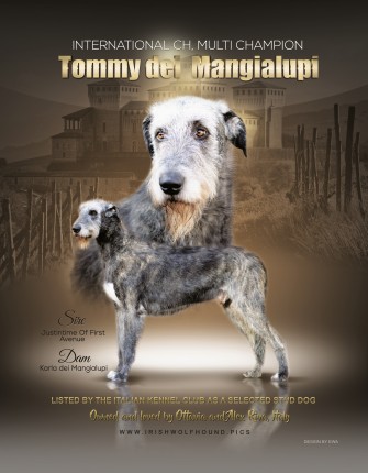 Irish Wolfhounds Advertising