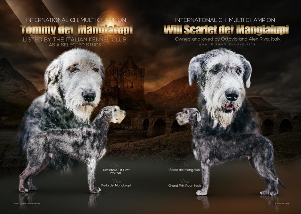 Irish Wolfhounds Advertising