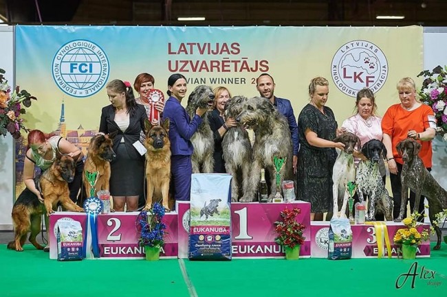 09.06.2019. IDS "Latvian Winner 2019" with Cruft's qualification  Dwarfs Valley results
