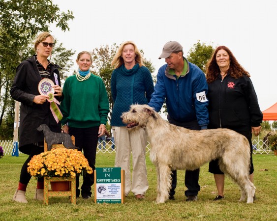 39th Annual Specialty Show, Rally Trial & LGRA Race Meet Oct 5-7 2019  Irish Wolfhound USA