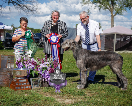 "47th Annual National and the Ontario Regional Specialties "  by Alex Riva published  in Irish Wolfhound World Magazine