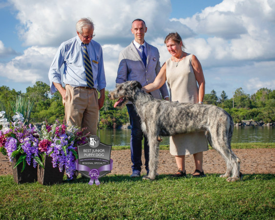 "47th Annual National and the Ontario Regional Specialties "  by Alex Riva published  in Irish Wolfhound World Magazine