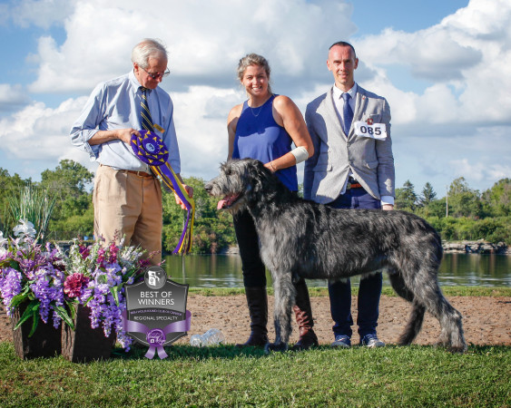 "47th Annual National and the Ontario Regional Specialties "  by Alex Riva published  in Irish Wolfhound World Magazine