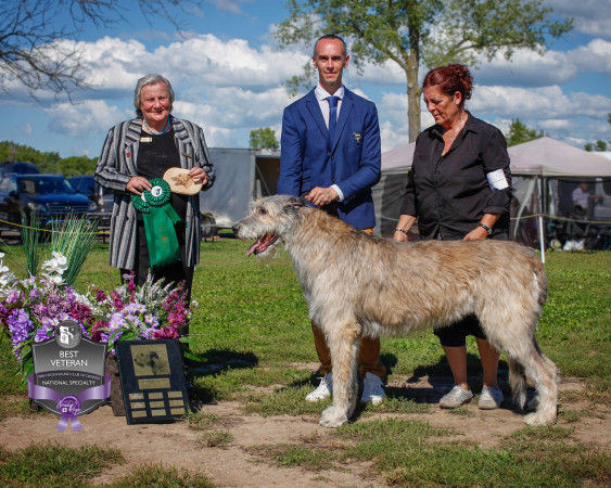 "47th Annual National and the Ontario Regional Specialties "  by Alex Riva published  in Irish Wolfhound World Magazine